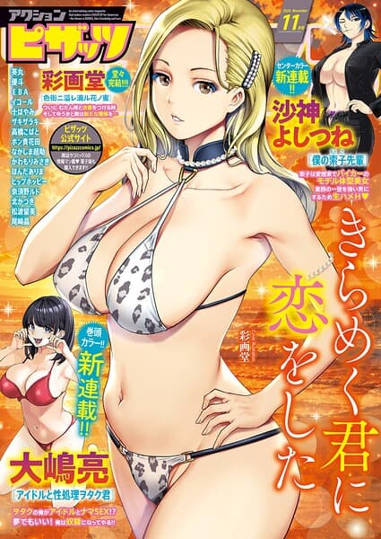 アクションピザッツ2026年11月号